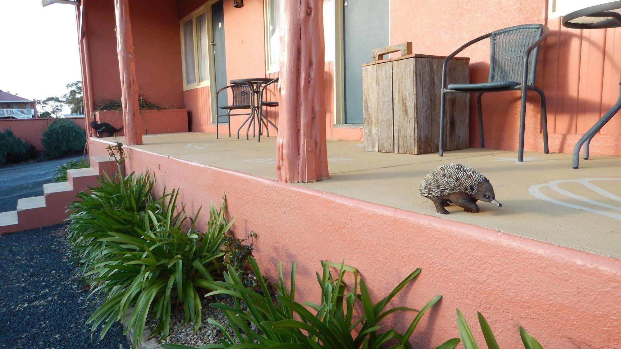 Swansea Motor Inn Tasmania Экстерьер фото