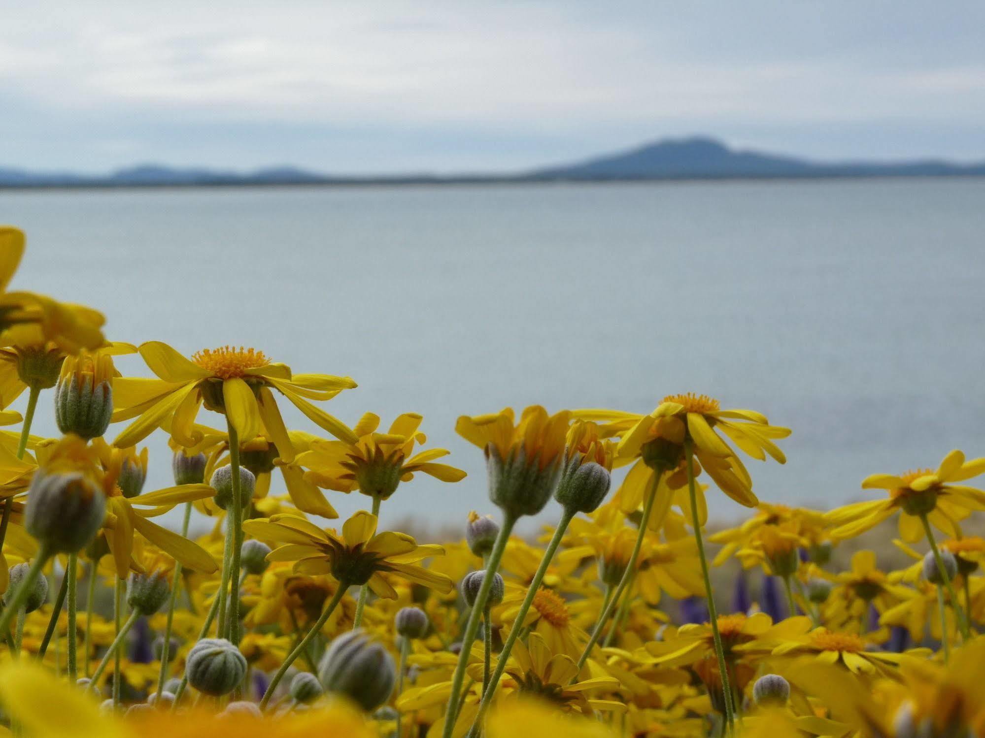 Swansea Motor Inn Tasmania Экстерьер фото